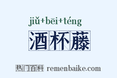 酒杯藤是什么意思的图片